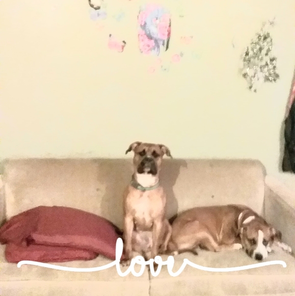 Meet your Posher, Wayne - Picture 1 of 1